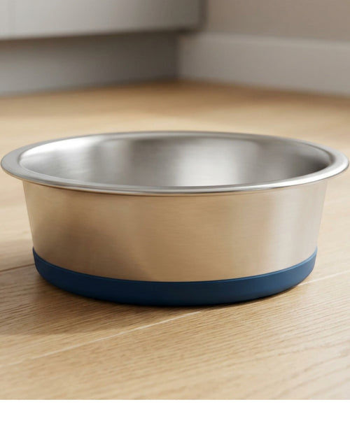 Lmnzk Rimhold Stainless Steel Pet Bowl Silicone Base 32 oz Deep Blue - Lifestyle view